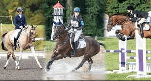 What Are The Main Phases In Eventing?