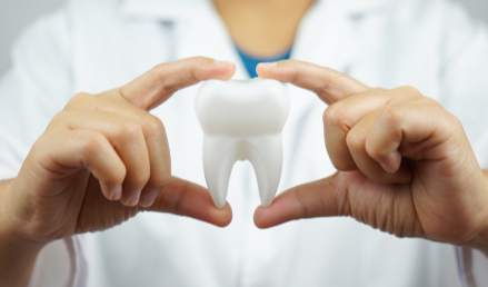 Reasons Why DHMO Dental Plans Are Essential for Your Oral Health