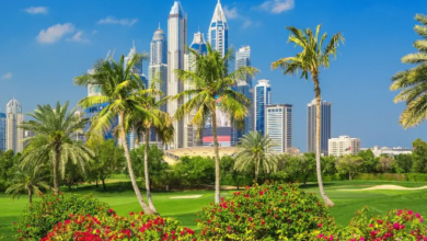 Sustainable Landscaping Trends Shaping Dubai's Green Spaces