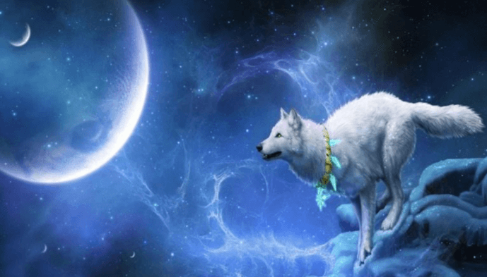 Galaxy:2smzbguw1tk= Wolf:Sjvqnrdh5ue= Cool Wallpapers