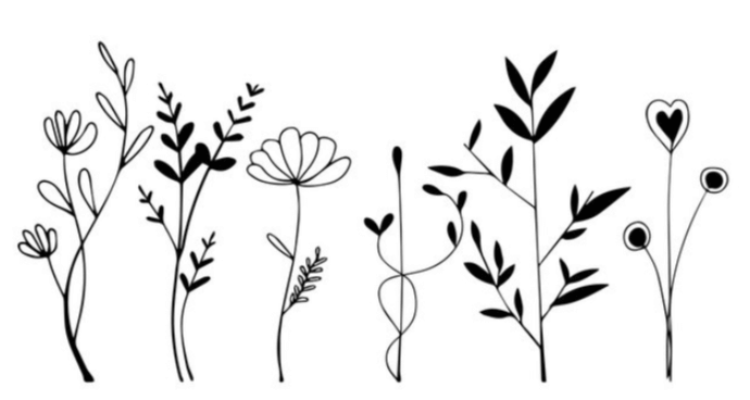 Clipart:-Ytl2dttkty= Outline:-Ytl2dttkty= Flowers