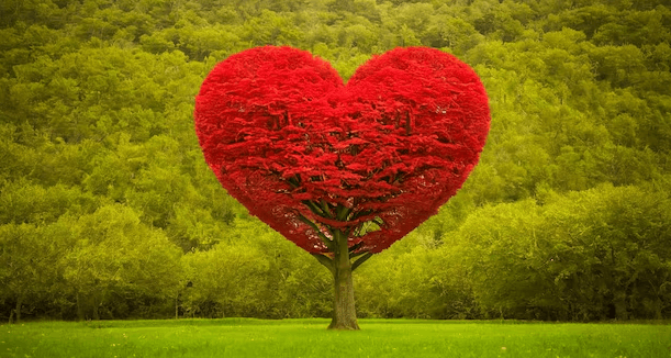 Red:Fjs0lvcretu= Heart