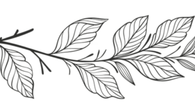 Outline:1katqdk7ygw= Leaves Clipart