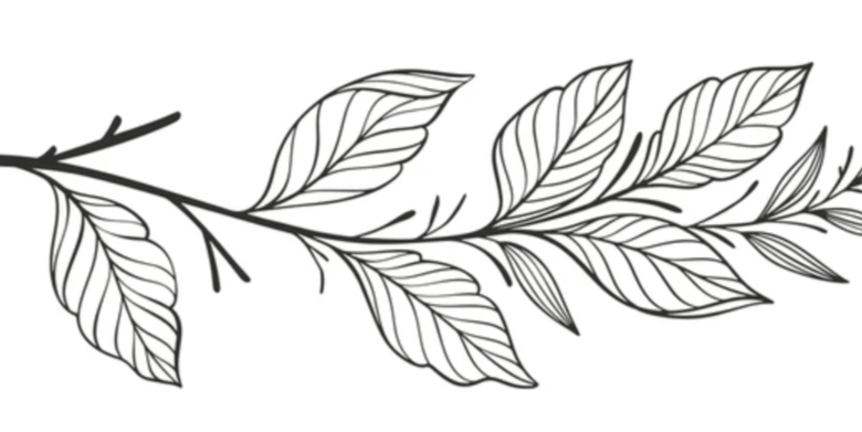 Outline:1katqdk7ygw= Leaves Clipart