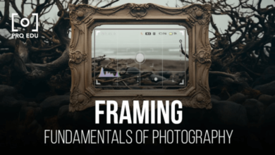 Framing of the Shot and the Duration of the Shot Are Two Notable Aspects of This Art