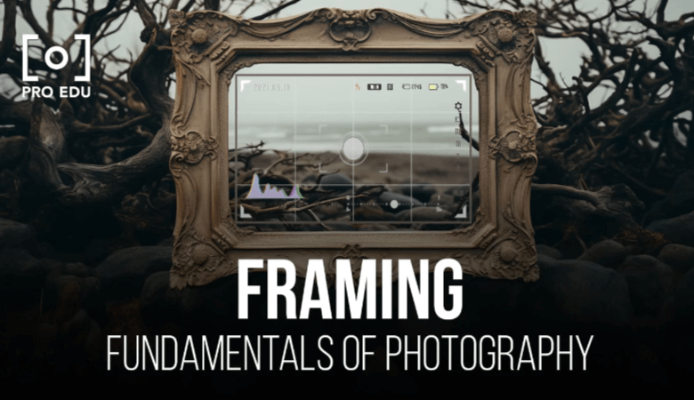 Framing of the Shot and the Duration of the Shot Are Two Notable Aspects of This Art