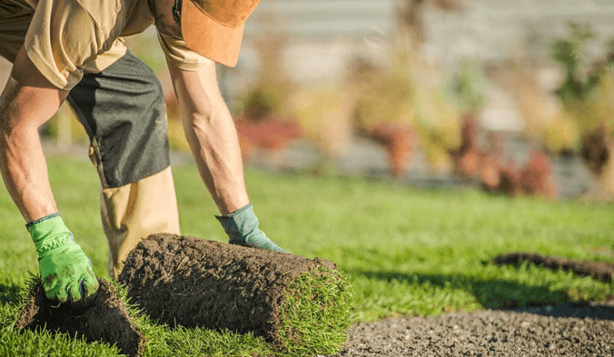 Sod Installation Services