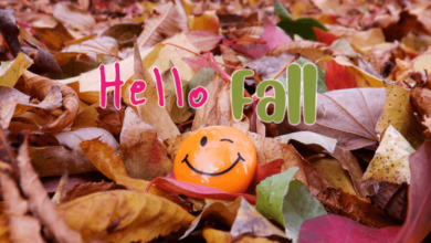 Cute:9c0pqtepvsq= Fall