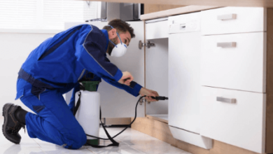 effective pest removal in virginia: protect your home and health