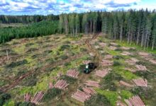 Forestry Mulchers vs Stubble Mulchers