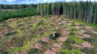 Forestry Mulchers vs Stubble Mulchers