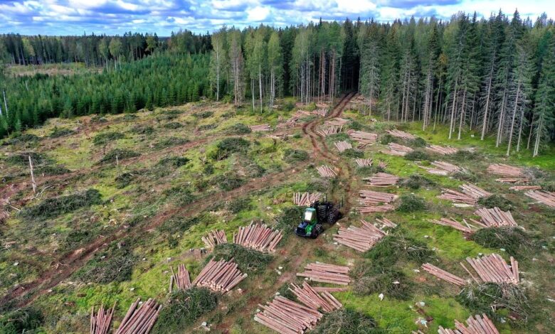 Forestry Mulchers vs Stubble Mulchers