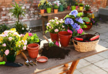 Growing in Small Spaces: How to Container Garden Vegetables and Flowers