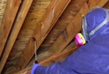 Mold in Basements and Crawl Spaces: How to Address the Problem