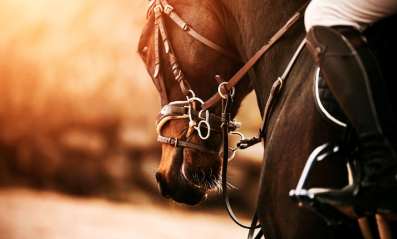 Gallop and glory: Japan’s horse racing scene (ギャロップと栄光： 日本の競馬シーン)