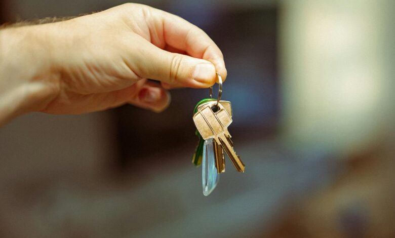 real estate or stocks