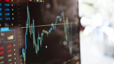 balanced portfolio for growth
