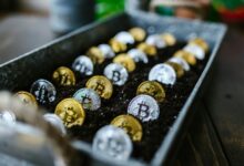 investing in small cap stocks
