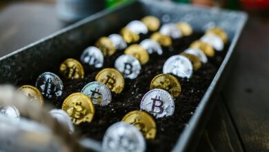 investing in small cap stocks