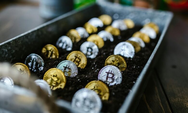 investing in small cap stocks