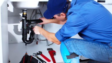 Warning Signs That You Need Professional Drainage Services
