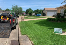 Is Now the Right Time to Seek Professional Lawn Cleanup Services?