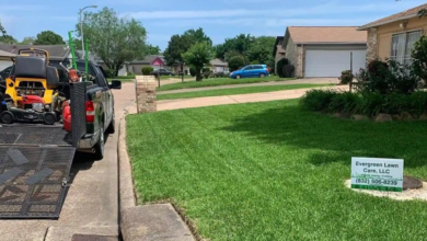 Is Now the Right Time to Seek Professional Lawn Cleanup Services?