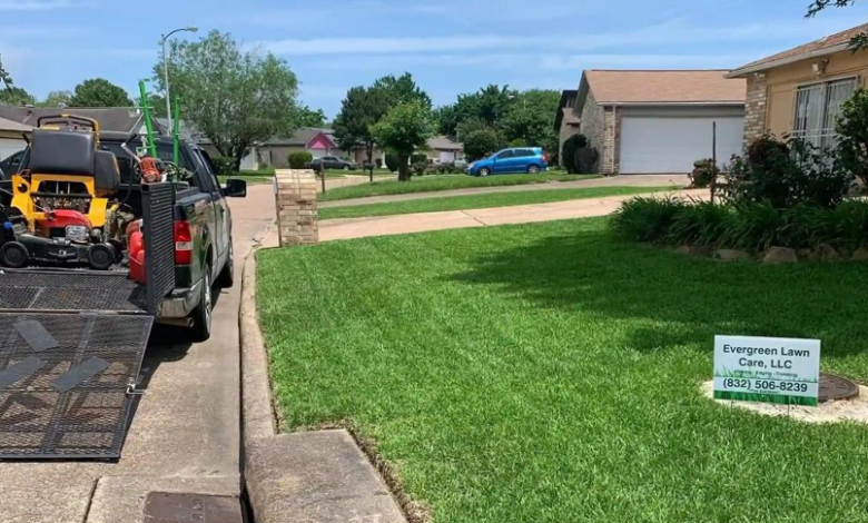 Is Now the Right Time to Seek Professional Lawn Cleanup Services?