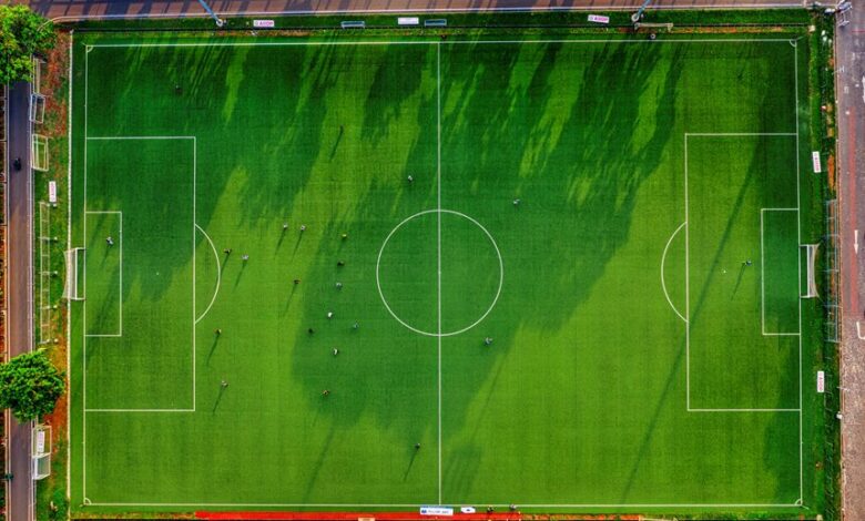 coral ecosystem overview and activity