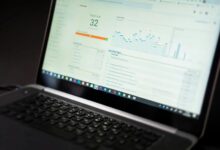 freusseporn s online presence summary