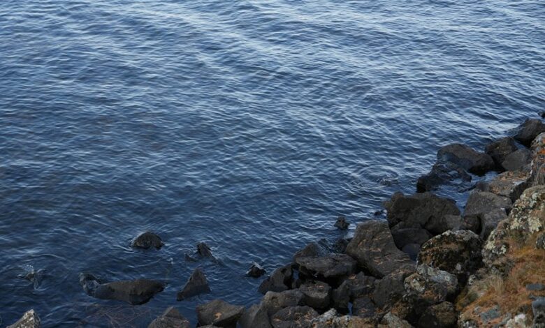 native lawsuit developments overview