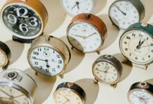 indexed collection of numbers