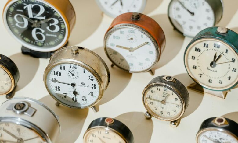 indexed collection of numbers