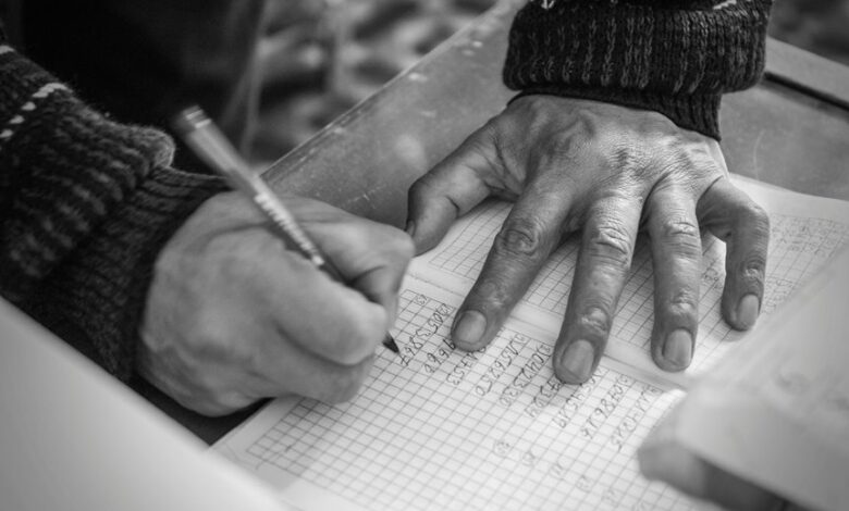 multiple entry synopses listed