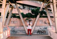 profile check summary report