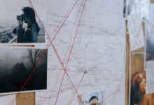 sector analysis and findings