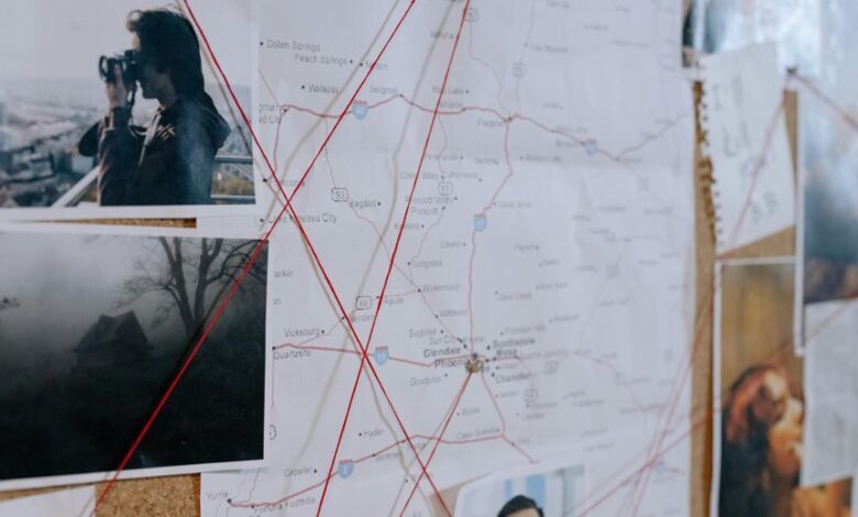 sector analysis and findings