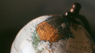 wiotra89 452n model details