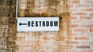 cirafqarov model overview guide