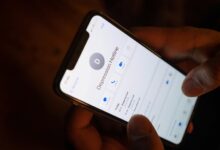 fraud alert hotline numbers