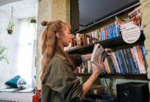 hidghanem palidahattiaz overview