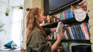 hidghanem palidahattiaz overview