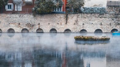 krylovalster s unique characteristics highlighted