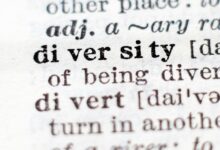 sozxodivnot2234 overview summary