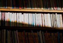 vizahbitarmun key facts overview