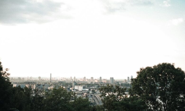 digital dominance advantage unleashed