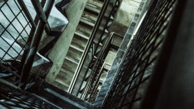 leadership in vertex flow