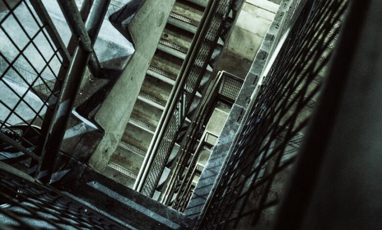 leadership in vertex flow