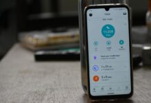 norrskensmammor community tracking logs