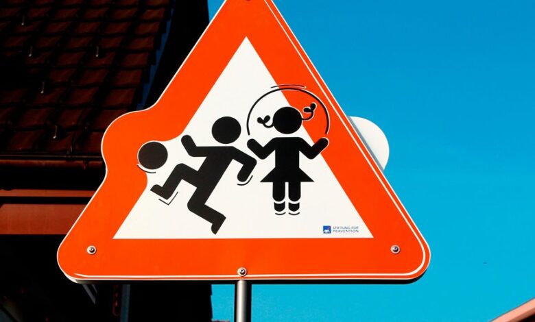 safety registry alert entry